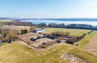 Gewerbeimmobilie kaufen in 17166 Schorssow, 3,5 ha Grundstück mit Halle und PV + Projekt für Freiflächen-PV