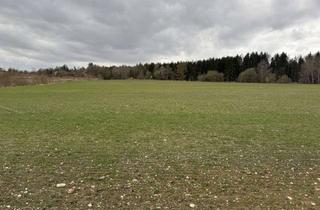 Gewerbeimmobilie kaufen in 84164 Moosthenning, Landwirtschaftliche Fläche der Gemarkung Lengthal, Gemeinde Moosthenning