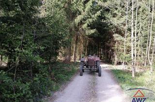 Gewerbeimmobilie kaufen in 91599 Dentlein, Kleiner Wald mit guter Zufahrt!