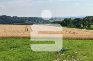 Gewerbeimmobilie kaufen in 94094 Malching, Acker- und Wiesenflächen bei Malching