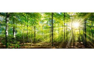 Gewerbeimmobilie kaufen in 82441 Ohlstadt, Grüne Kapitalanlage in turbulenten Zeiten!