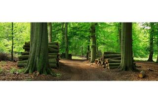 Gewerbeimmobilie kaufen in 82441 Ohlstadt, Auf der Suche nach Ausgleichsflächen?