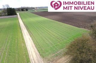 Gewerbeimmobilie kaufen in 89426 Wittislingen, Die seltene Gelegenheit für ihren Betrieb! 1,19 ha Ackerland in Wittislingen - nahe Lauingen