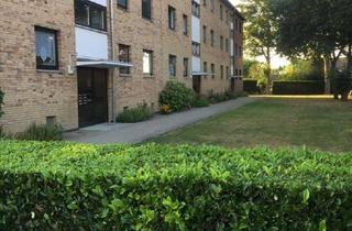 Wohnung kaufen in Heideweg 12 c, 38120 Timmerlah, Gepflegte Eigentumswohnung in Timmerlah-Geitelde-Stiddien