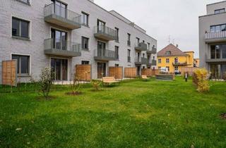 Wohnung mieten in 14089 Kladow, Geräumige 2-Zimmer-Mietwohnung, 65,20 m², EG, EBK, Terrasse, Fahrstuhl, Tiefgarage, Keller, Kladow