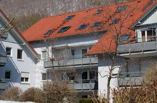 Wohnung mieten in 73337 Bad Überkingen, Ruhige und sonnige 2 Zimmerwohnung mit Balkon und TG in Bad Überkingen