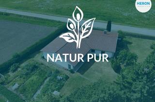 Haus kaufen in 91726 Gerolfingen, NATUR PUR – Einzigartiger Bungalow direkt am Feldrand in Gerolfingen-Aufkirchen
