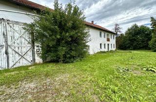 Haus kaufen in 85354 Freising, Renovierungsbedürftiges ehemaliges Sacherl sucht Liebhaber/in