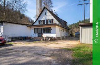 Haus kaufen in Am Schloss, 66987 Thaleischweiler-Fröschen, +++Raum für Visionen - Anwesen in Alleinlage mit Halle, Stall und 10.000 m² Grundstück+++