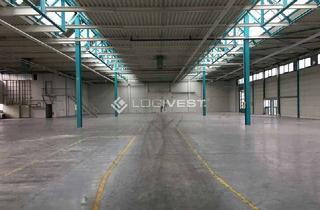 Gewerbeimmobilie mieten in 06766 Bitterfeld-Wolfen, Verkehrsgünstige Lage zur A9! Vielseitige Lager- und Produktionsfläche im Gewerbepark