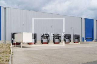 Gewerbeimmobilie mieten in 39340 Haldensleben, Haldensleben – 15.000 m² – Logistikneubau zur Miete