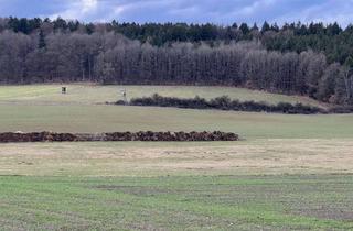 Anlageobjekt in 93161 Sinzing, Landwirtschaftsfläche in der Gemarkung Reichenstetten in der Gemeinde Sinzing zu verkaufen.