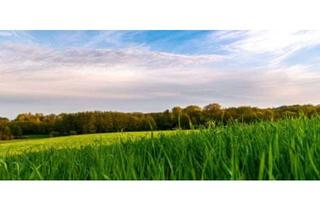 Grundstück zu kaufen in 19303 Vielank, Viel Platz und viel Grün - Preisgeschenk!