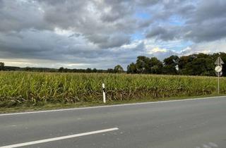 Gewerbeimmobilie kaufen in 48653 Coesfeld, Landwirtschaftliche Fläche in Coesfeld-Lette