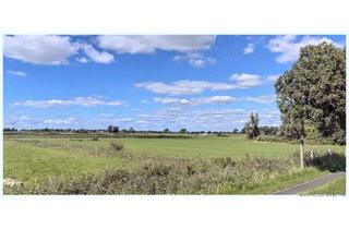 Gewerbeimmobilie kaufen in 25889 Witzwort, 2,25 ha gut erreichbares Öko- Grünland für extensive Nutzung im Süden der Halbinsel Eiderstedt !