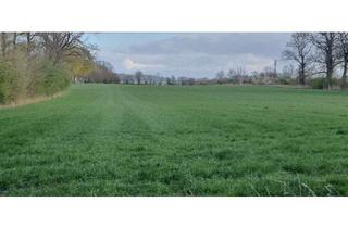 Gewerbeimmobilie kaufen in 48341 Altenberge, Altenberge Ackerland zu verkaufen.