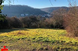 Grundstück zu kaufen in 74653 Künzelsau, Ruhig gelegenes Baugrundstück in Toplage am Südhang von Künzelsau