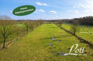 Immobilie kaufen in 26689 Apen, +++ Grünlandfläche in Bokelermoor zur Größe von ca. 1,11 ha +++