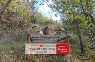 Immobilie kaufen in 63654 Büdingen, Freizeitgrundstück - Erholung im Grünen in Büdingen