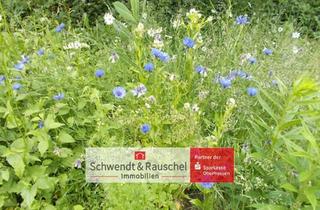 Immobilie kaufen in 63679 Schotten, Randlage zum Liebhaben - Baugrundstück in Schotten-Busenborn