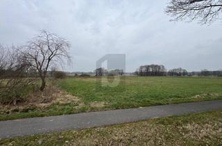 Grundstück zu kaufen in 27412 Wilstedt, SONNIGES WEIDEPARADIES FÜR TIERHALTUNG