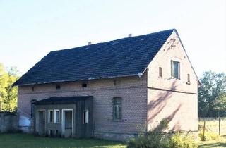 Einfamilienhaus kaufen in 04924 Bad Liebenwerda, Bad Liebenwerda - freistehendes Einfamilienhaus, Nähe Kurstadt Bad Liebenwerda