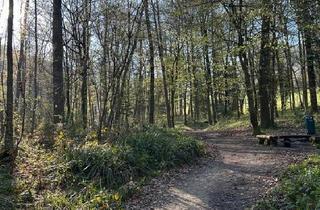 Wohnung kaufen in 79108 Freiburg, Freiburg im Breisgau - Erstbezug - sanierte 1,5 Zi. Wohnung inkl. TGEBK