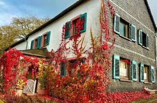 Einfamilienhaus kaufen in 56828 Alflen, Alflen - Entkerntes Einfamilienhaus mit großem Grundstück