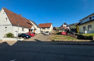 Haus kaufen in 79227 Schallstadt, Schallstadt - Haus mit Grundstück und Bauplatz