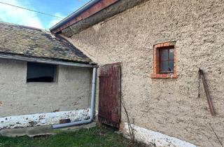 Bauernhaus kaufen in 04509 Wiedemar, Wiedemar - ++Pacht möglich++ Sanierung eines Bauernhauses aus Lehm zwischen Leipzig und Halle