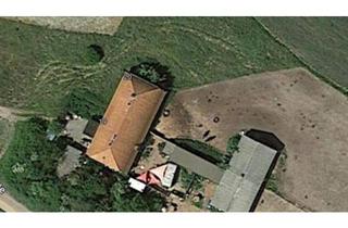 Doppelhaushälfte kaufen in 17391 Neetzow-Liepen, Neetzow-Liepen - 2 Doppelhaushälften mit gr. Grundstück!