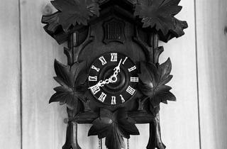 Wohnung kaufen in Spechtweg 25, 79110 Landwasser, Renovierungsbedürftige ETW in Freiburg Landwasser auf Erbpacht