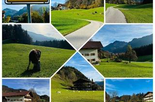 Wohnung kaufen in 83229 Aschau, Alpenglück - Charmante 2-Zimmer Wohnung mit umlaufenden Balkon in Aschau/Sachrang