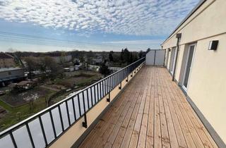 Penthouse mieten in An Der Waldsiedlung, 10318 Karlshorst, Luxurious 4-bedroom penthouse with 60-square-meter rooftop terrace, parking and kitchen