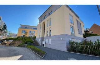 Wohnung mieten in Edith-Stein Strasse, 76887 Bad Bergzabern, Freundliche 2-Zimmer-Terrassenwohnung mit Privatgarten und EBK