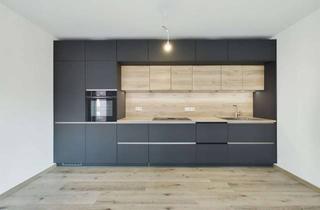 Wohnung mieten in 54296 Trier, Castelnau-Mattheis: Neuwertige 3ZKB-Wohnung in ruhiger Lage.