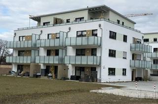 Wohnung mieten in Südtangente, 92334 Berching, Neue Wohnung mit zwei Zimmern und Balkon in Berching