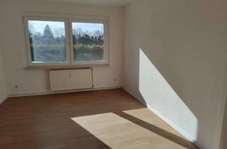 Wohnung mieten in 39397 Schwanebeck, 4 Zimmer + Küche + Bad + Flur in 39397 SCHWANEBECK / KM 450 €/ renoviert, neues Bad, neue Beläge