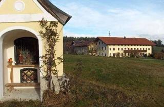 Wohnung mieten in Murschall, 84529 Tittmoning, Idylle pur-traumhafte Wohnung im Einödhof Südwest