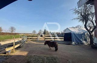 Einfamilienhaus kaufen in 41849 Wassenberg, Pferdeliebhaber aufgepasst! Einfamilienhaus "PLUS" in Wassenberg-Steinkirchen!