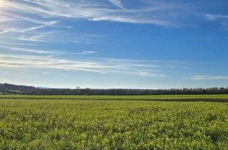 Grundstück zu kaufen in 54293 Trier, Trier-Biewer - Grundstück mit enorm viel Potenzial ! Machen Sie Ihr Geschäft !!!