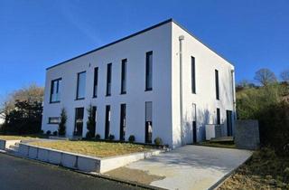 Einfamilienhaus kaufen in 54597 Balesfeld, Modernes Neubau-Einfamilienhaus mit Smart Home, Wärmepumpe und 253 m² Wohnfläche in der Südeifel