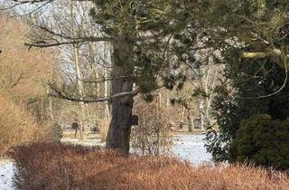 Grundstück zu kaufen in 16341 Panketal, ** Dreimal Platz fürs Leben – Teilungsgrundstück in grüner Lage von Panketal **