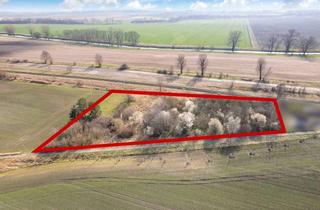 Grundstück zu kaufen in 39387 Oschersleben, "Naturnahes Grundstück am Bahnhof: Raum für Ihre Träume"