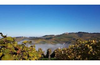 Grundstück zu kaufen in 77770 Durbach, Bauplatz in Durbach, vom Traum zum Raum, Platz für 4 Wohneinheiten