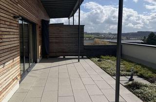 Penthouse mieten in Franz-Fertig-Straße 22D, 74722 Buchen, Exklusive 3-Zimmer Penthouse-Wohnung mit Terrasse in Buchen (Odenwald)
