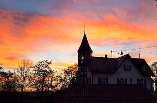 Villa kaufen in 89293 Kellmünz, Jugendstilvilla mit Garten und Weitblick