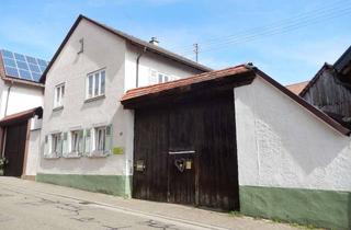 Haus kaufen in 76872 Minfeld, Großes Anwesen in ruhiger sonniger Ortslage, baubiologisch und energetisch saniert.