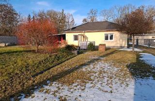 Haus kaufen in 39387 Oschersleben, Oschersleben (Bode) - Stadtbungalow ohne Provision