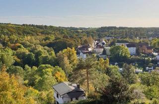 Einfamilienhaus kaufen in 06712 Zeitz, Zeitz - Viel Platz und fantastische Aussicht